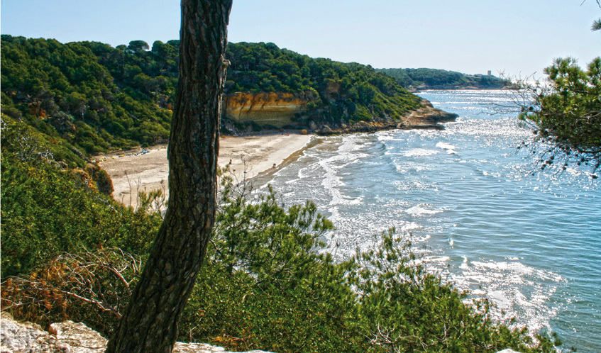 Vista de Cala Fonda